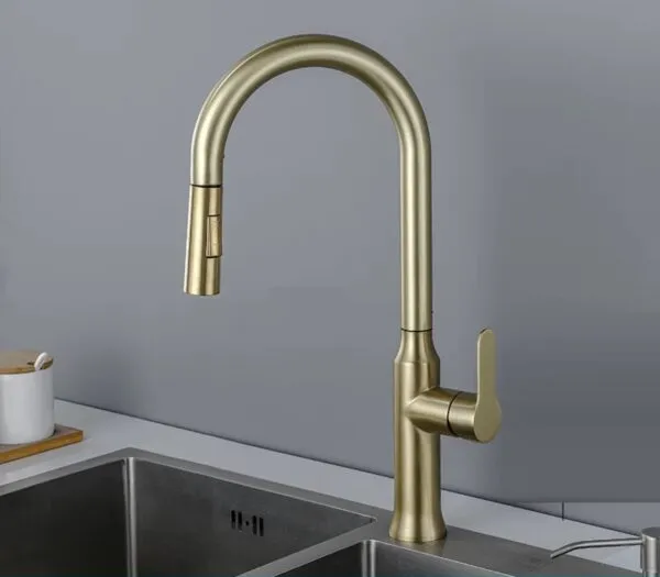 CM 02266 BG Kitchen faucet
