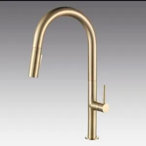 CM 2159 1 BG Kitchen faucet
